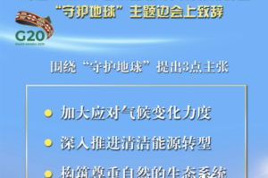 疫情时代的回顾与反思，从2020年至今的全球挑战与应对