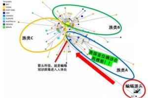 为什么疫情病毒会在武汉爆发？——从多角度解析新冠病毒的起源与传播