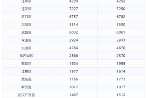 2020年新冠疫情小故事