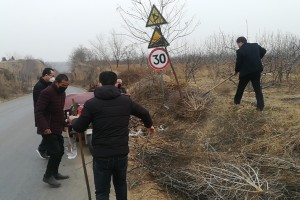 疫情期间涨幅最大的股票，哪些行业和公司逆势崛起？