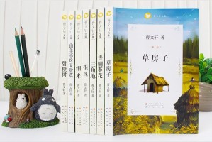 隔离日记，当世界只剩下四堵墙