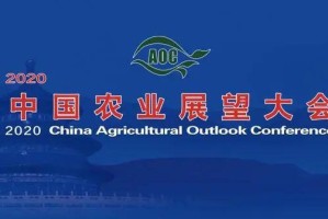 2020年疫情是什么时候开始？回顾全球抗疫的起点与历程
