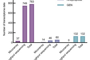 Understanding the Global Impact of COVID-19: A Comprehensive Analysis of the Pandemic Virus