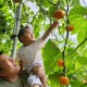 重大介绍“白金岛跑得快可不可以有挂”(开挂怎么弄)