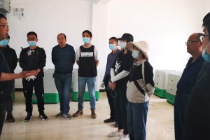两省携手共筑健康防线，青海省疫情防控通告与贵州省最新防疫措施