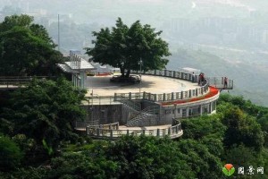 重庆筑牢防疫屏障 守护山城安宁