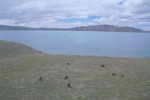 拉萨到重庆是否需要隔离？旅行与防控的探讨