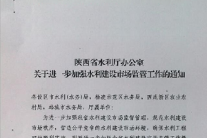 陕西省水利厅电话，官方渠道沟通，确保信息准确与及时