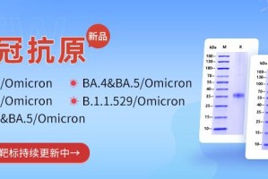 三年疫情中的病毒名称及其演变，从SARS-CoV-2到奥密克戎的全球挑战