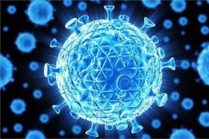 疫情的那个病毒叫什么？——新冠病毒的起源、传播与影响