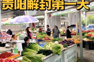 贵阳疫情什么时候解封（贵阳疫情封城时间）