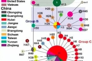 中国疫情何时开始？追溯新冠病毒的起源与传播