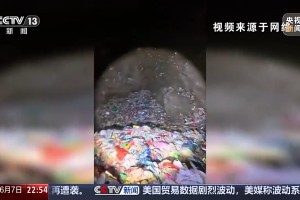 通报了解“盛世联盟”原来有开挂!确实真的有挂吗