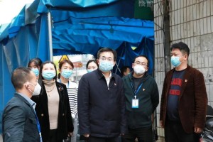 疫情开始于什么时间，追溯全球大流行的起源与影响