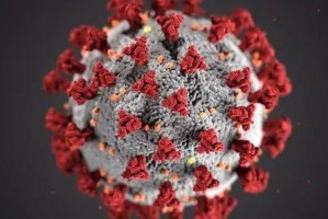 2020年疫情背后的病毒，新型冠状病毒（SARS-CoV-2）的起源与影响