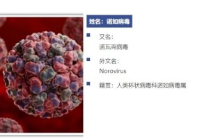 3年疫情叫什么病毒