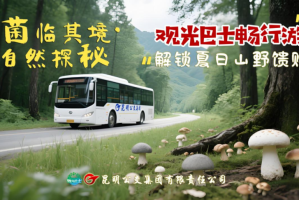 终于发现“微乐斗地主”原来有透视挂,有没有挂