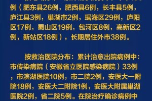 合肥疫情防控成效分析，新增病例动态与防控措施