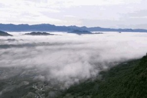重庆郑州疫情防控成效显著，仍需保持警惕