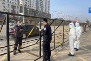 青海省与广东省疫情管控政策对比研究