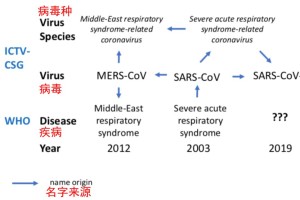疫情病毒叫啥？——从命名到认知的科学与人文思考