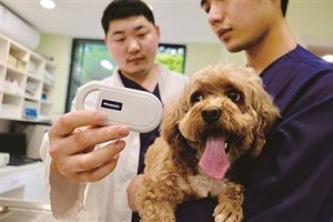 溯源迷局，上海疫情零号酒店背后的城市免疫战
