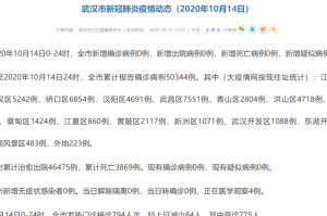 武汉新冠疫情2019（武汉新冠疫情2020年年底疫情如何）