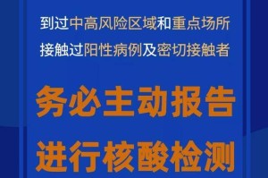 湖北疫情追责高官，问责风暴背后的治理逻辑与未来挑战