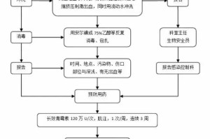疫情封城顺序解析，从预警到解封的全流程