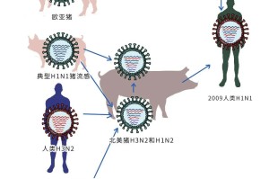 病毒启示录，当人类社会的免疫系统遭遇全球性挑战
