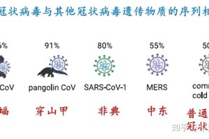 新冠病毒，名称、特征与全球影响