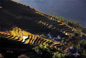 云南省疫情下跨省旅游规定与探索