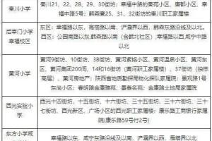 上海疫情下的城市管理挑战与应对策略