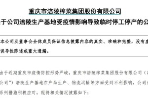 重庆、西宁疫情防控成效显著，经济复苏稳步前行