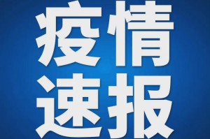 辽宁疫情通报，精准防控下稳定复苏