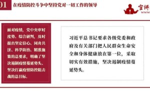 两省疫情报告，防控成效显著，未来展望待续