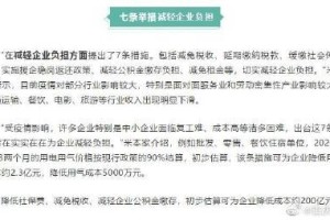 疫情期间税务减免政策文件解读与实施效果分析