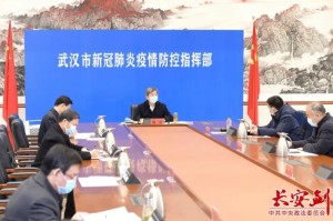 湖北疫情处理官员名单（湖北疫情受处理官员）
