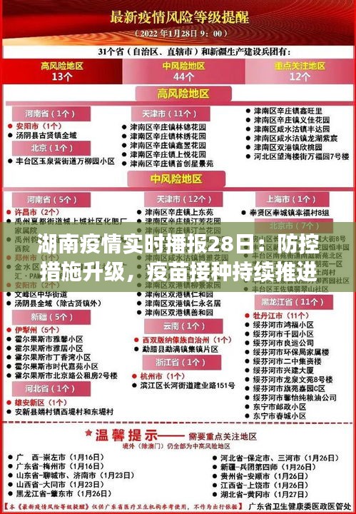 湖南省疫情实时更新官网，权威发布，守护健康