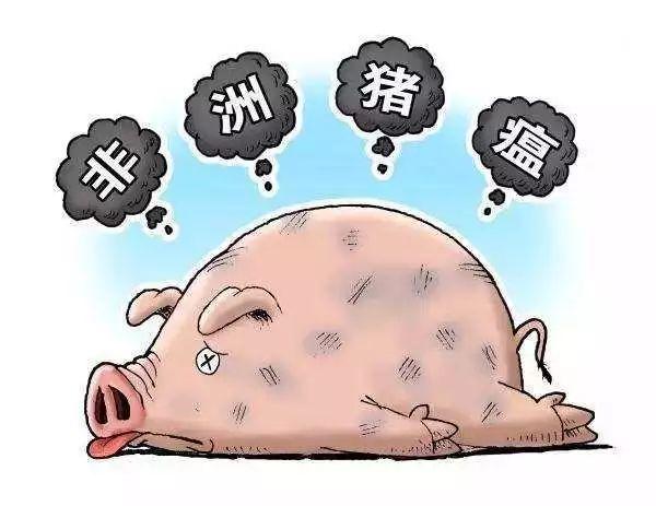 湖北科学精准防控保障人民健康