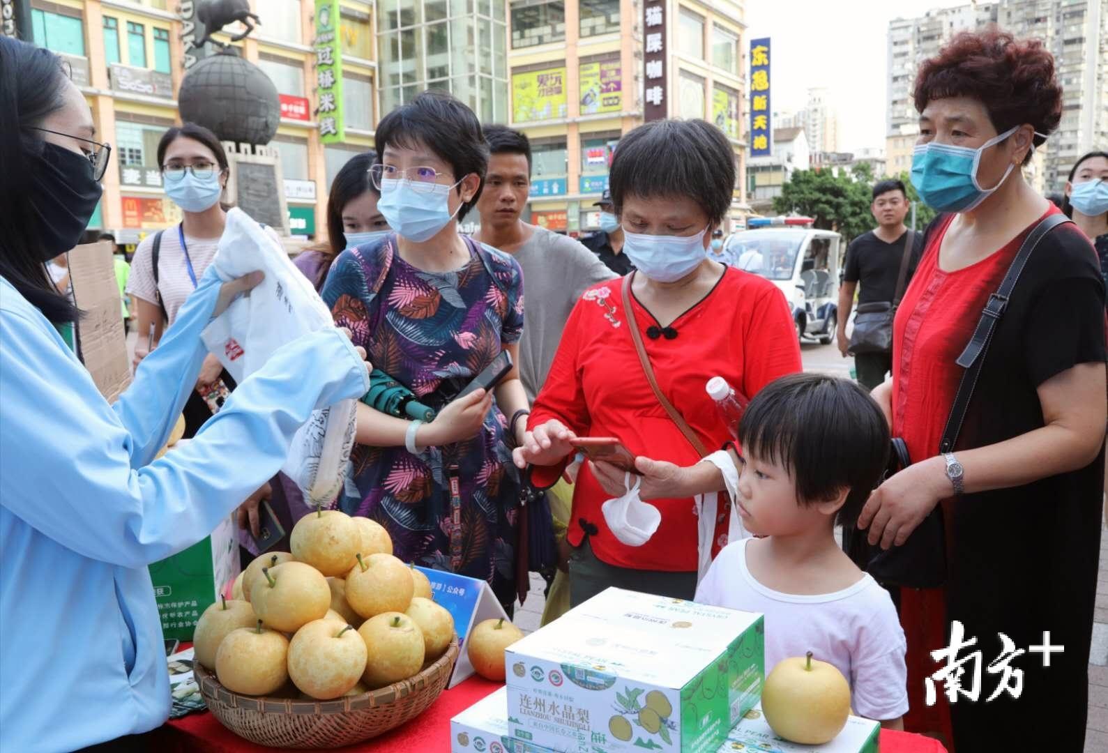 广州精准防控下城市复苏与民生保障的最新进展