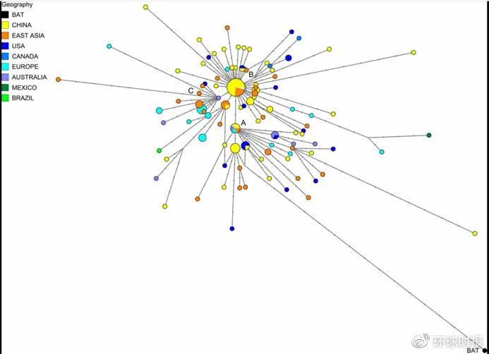 武汉疫情病毒叫什么？——从新冠病毒到全球大流行的科学解析