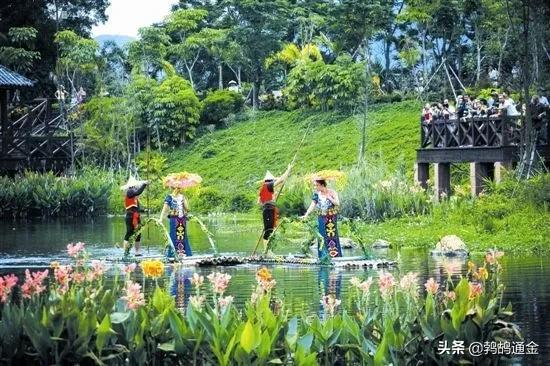 疫情是哪一年了，回顾与反思