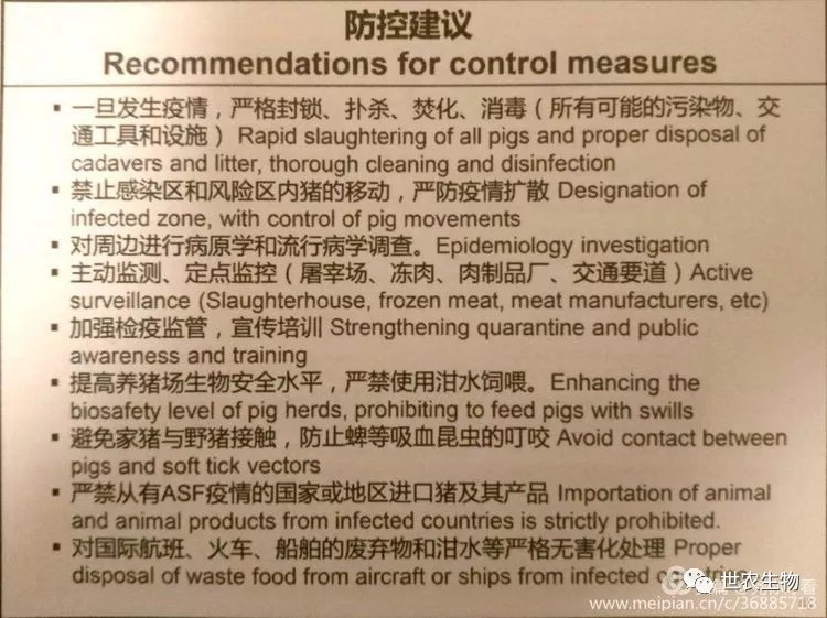 疫情病毒的名字与全球控制，从命名到应对的全面解析