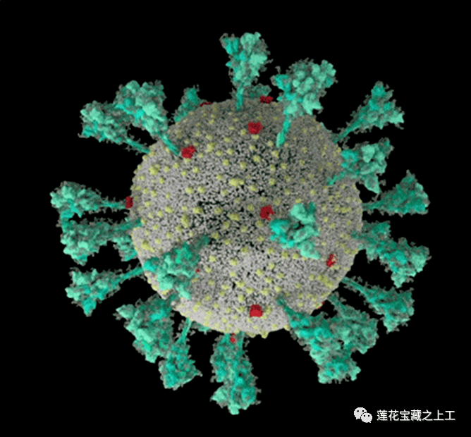 疫情病毒是什么样子的，从微观世界到全球影响