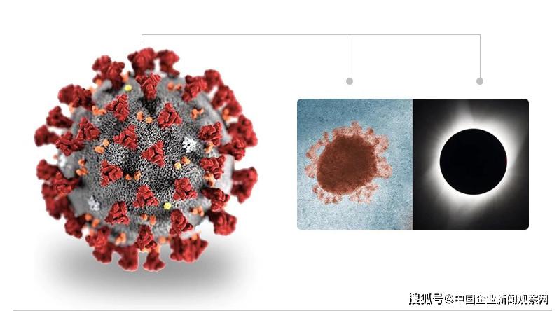 疫情病毒是什么样子的，从微观世界到全球影响