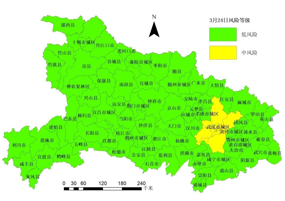 武汉封城，疫情初期的关键决策与深远影响