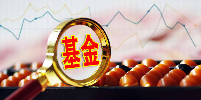 2019年突然疫情下的戴馥羽，逆境中的坚韧与成长