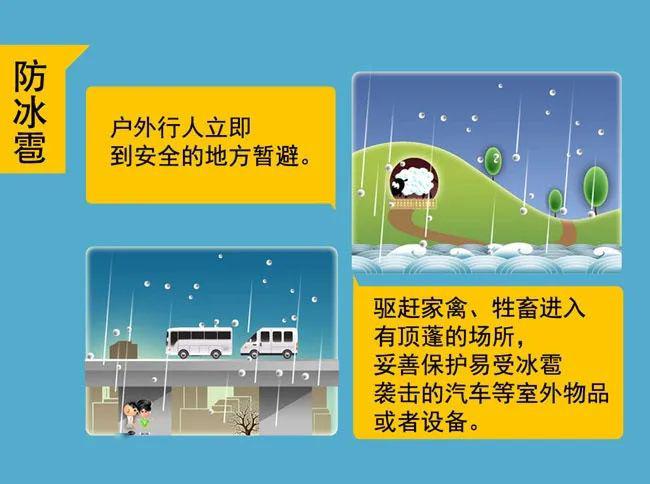 重庆市与吉林省疫情报告，防控成效与未来展望
