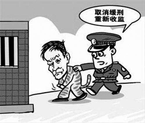 福建疫情防控公告，共筑防线，守护家园